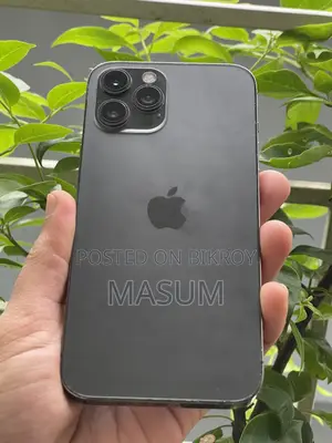 অ্যাপল আইফোন ১২ প্রো ম্যাক্স ২৫৬ জিবি সিলভার