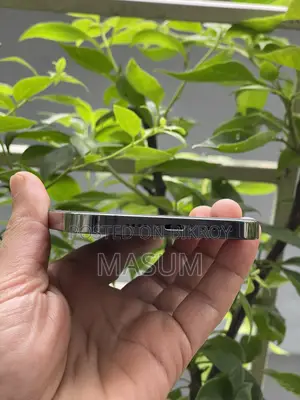 অ্যাপল আইফোন ১২ প্রো ম্যাক্স ২৫৬ জিবি সিলভার