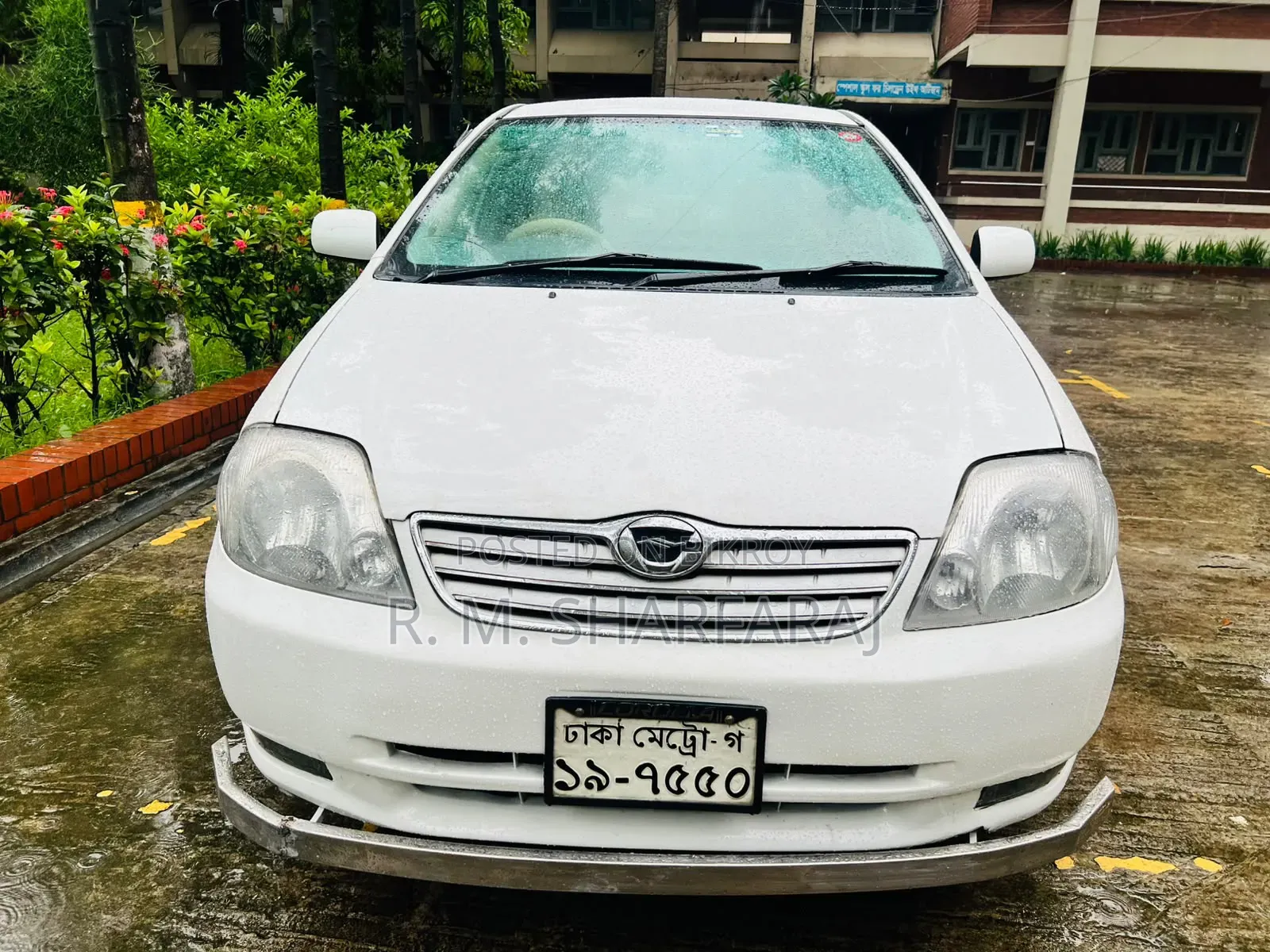 Toyota Corolla 2003 White