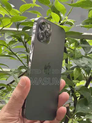 অ্যাপল আইফোন ১২ প্রো ম্যাক্স ২৫৬ জিবি সিলভার