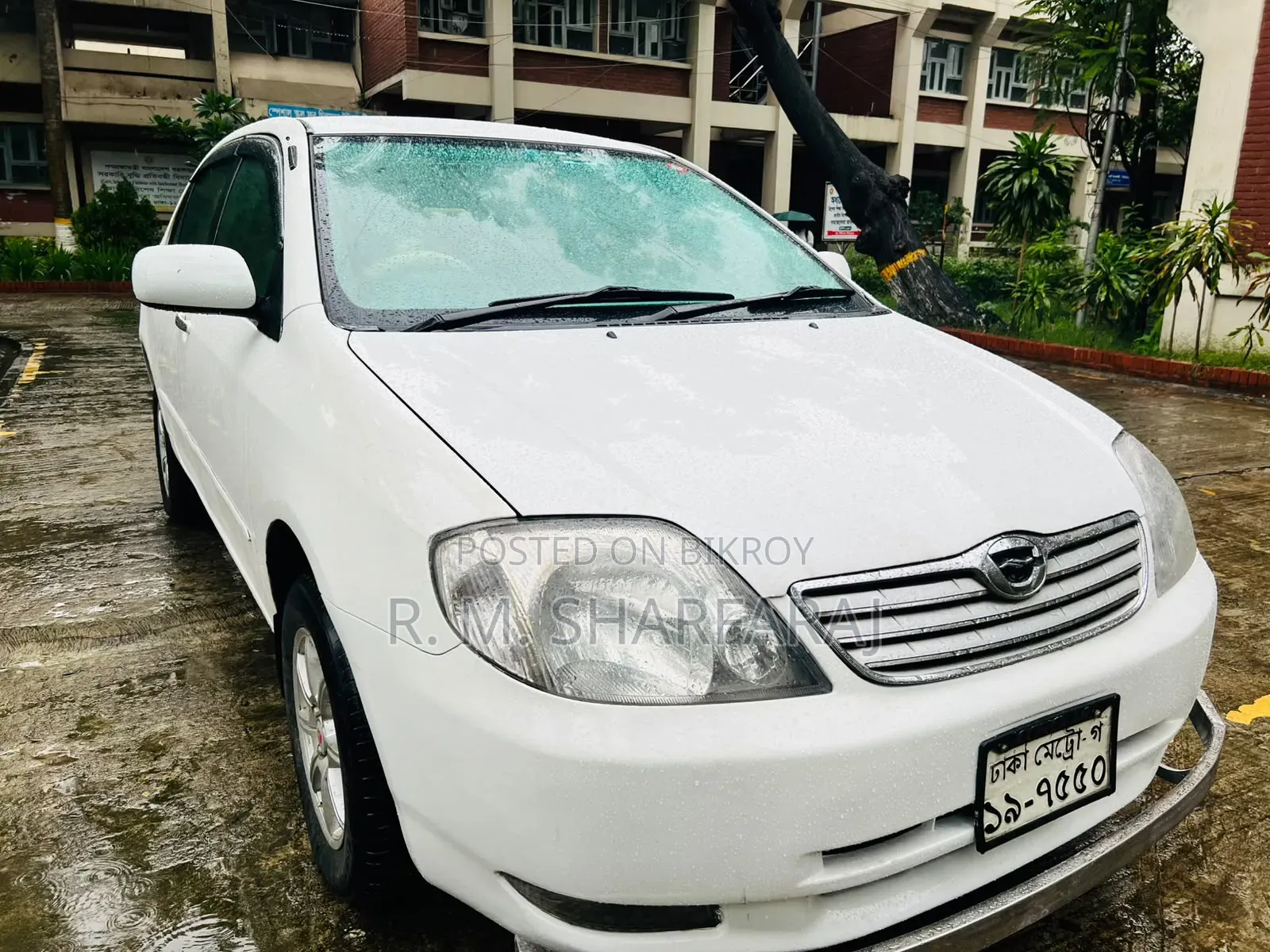 Toyota Corolla 2003 White