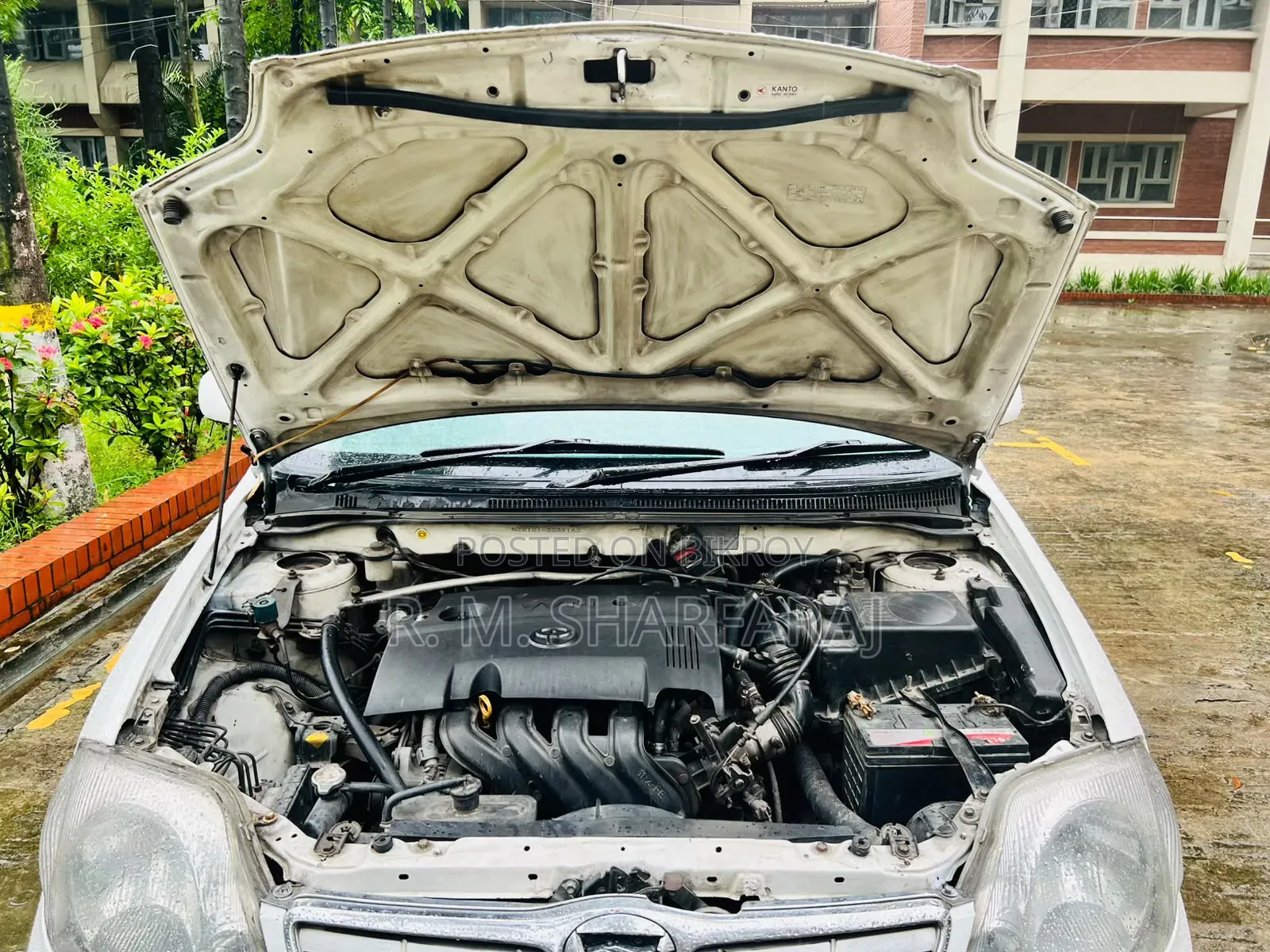 Toyota Corolla 2003 White