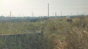 5 Katha Plot for Sale in N-Block, Bashundhara Residential Area.