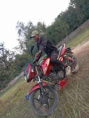 Bajaj Pulsar 150 2011 Red