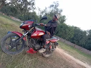 Bajaj Pulsar 150 2011 Red