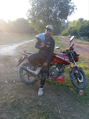 Bajaj Pulsar 150 2011 Red