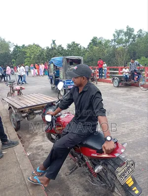 Bajaj Pulsar 150 2017 Red