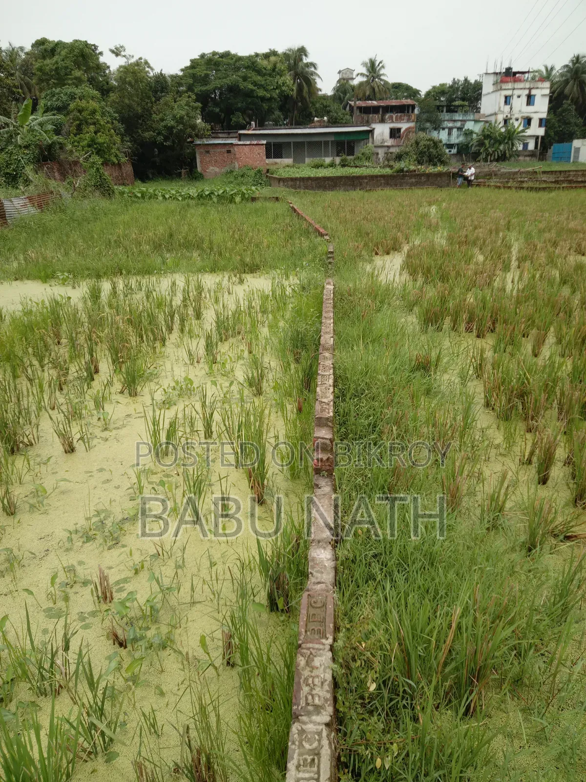 Land for sale in Fateyabad, Chittagong.