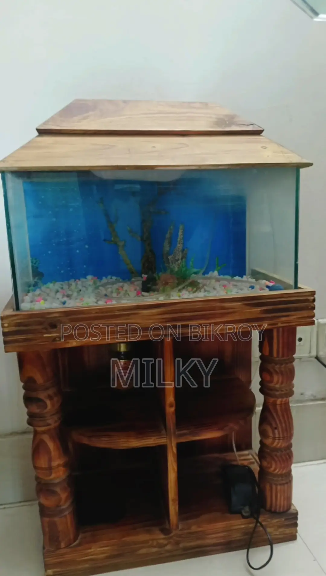 Aquarium Fish