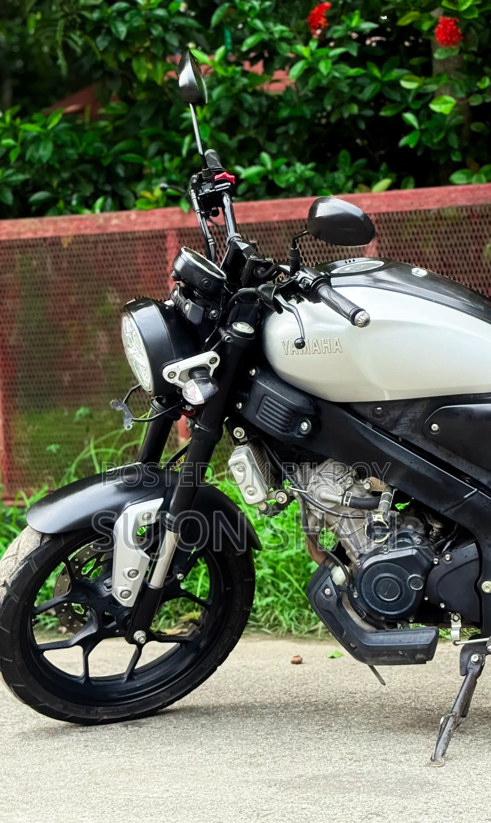 Yamaha 2021 Gray