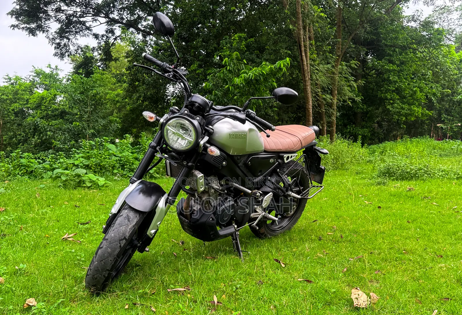 Yamaha 2021 Gray