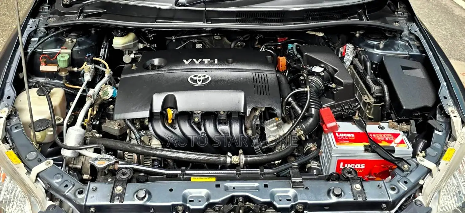 Toyota Axio 1.5 G 2WD 2010 Gray