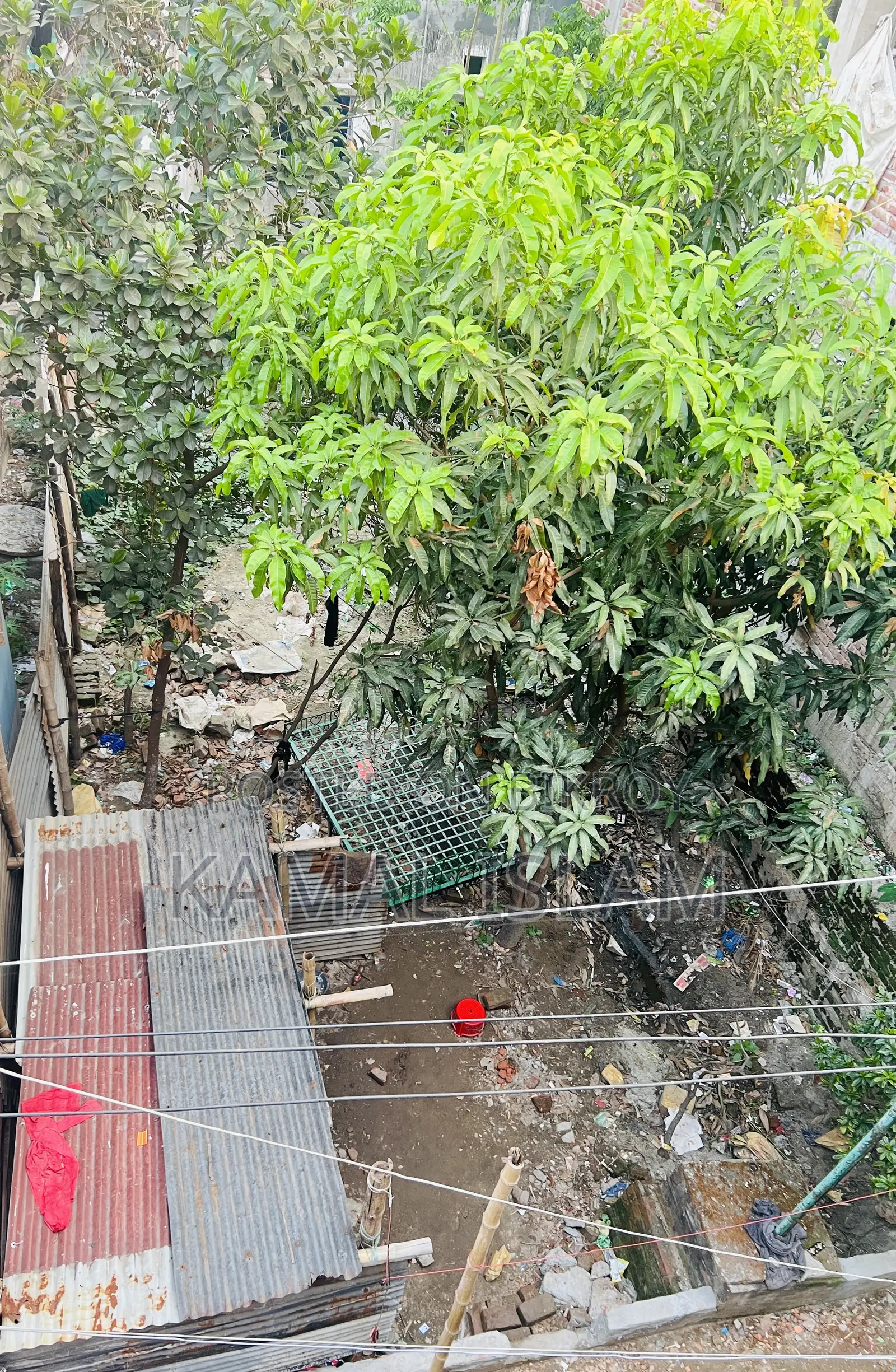 Land for sale