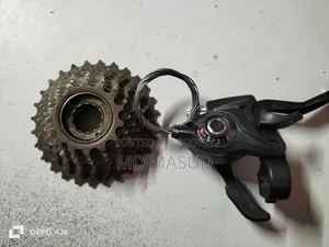 Cycle Gear and Shifter