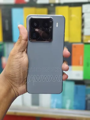 Xiaomi 15 Pro 256 GB Gray