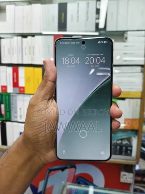 Xiaomi 15 Pro 256 GB Gray