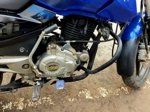 Bajaj Pulsar 150 2013 Blue