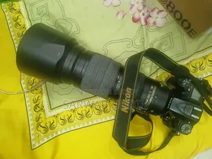 Nikon D7100 With AF-S Nikkor 200-500mm f/5.6E ED