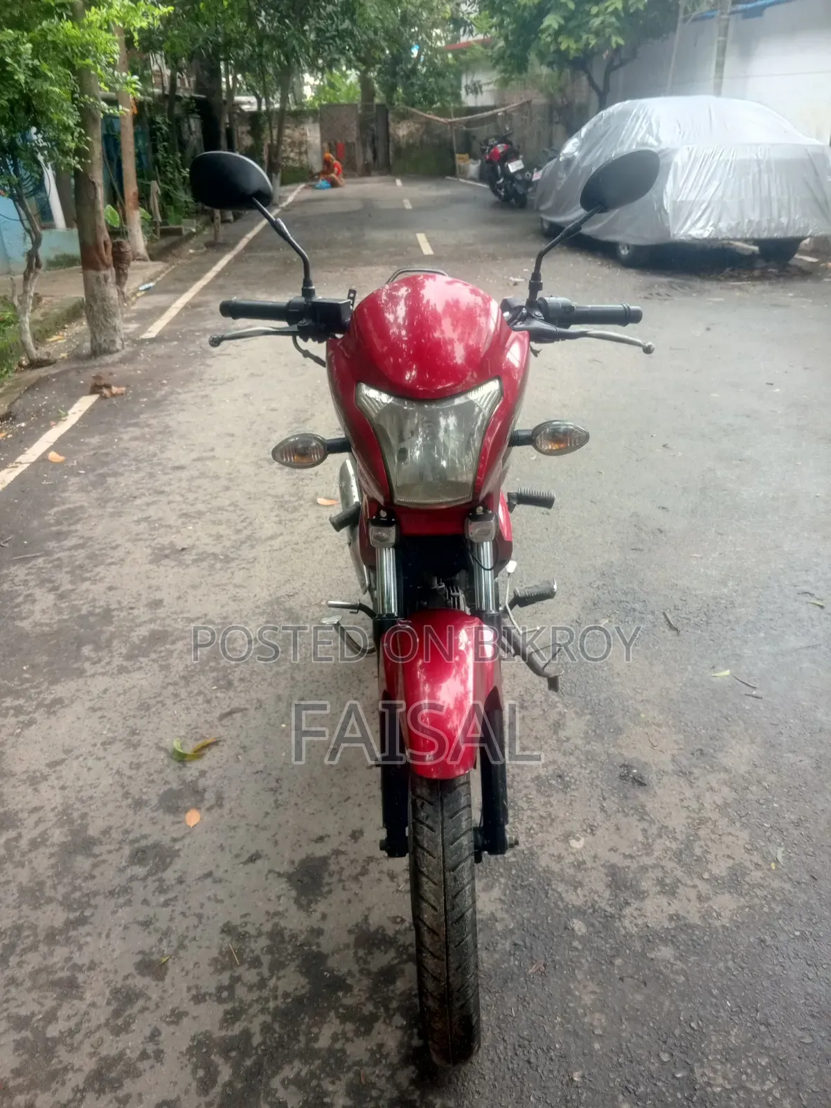 Runner Royal+ V2 2022 Red