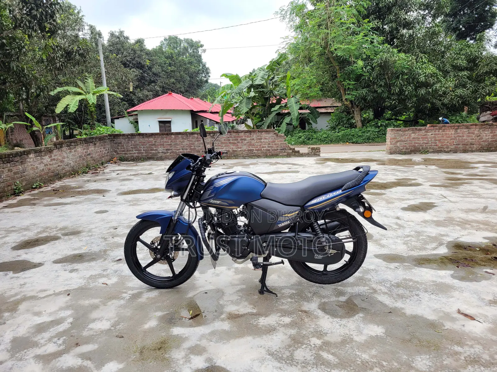 Yamaha Saluto 125 2022 Blue