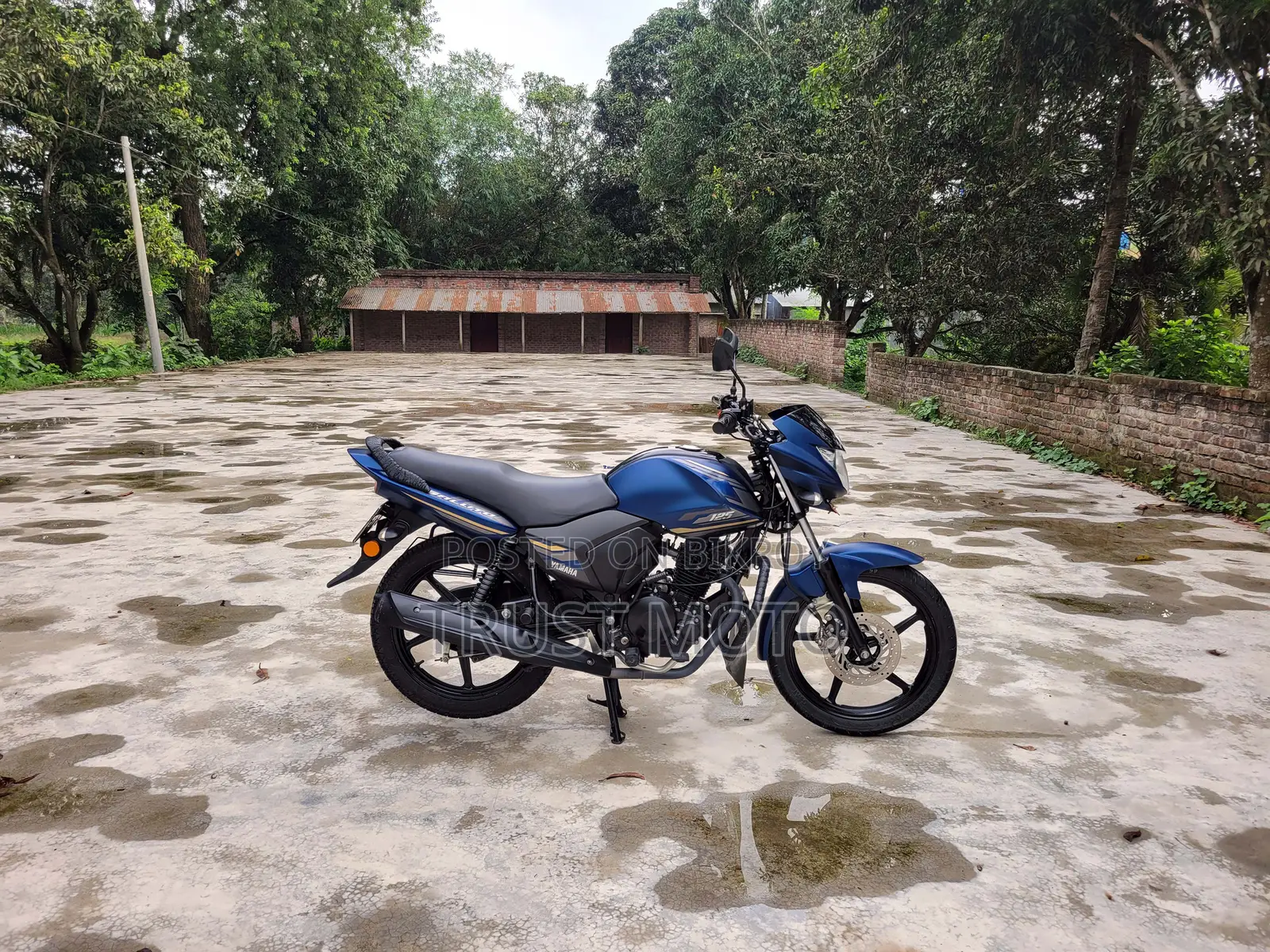 Yamaha Saluto 125 2022 Blue
