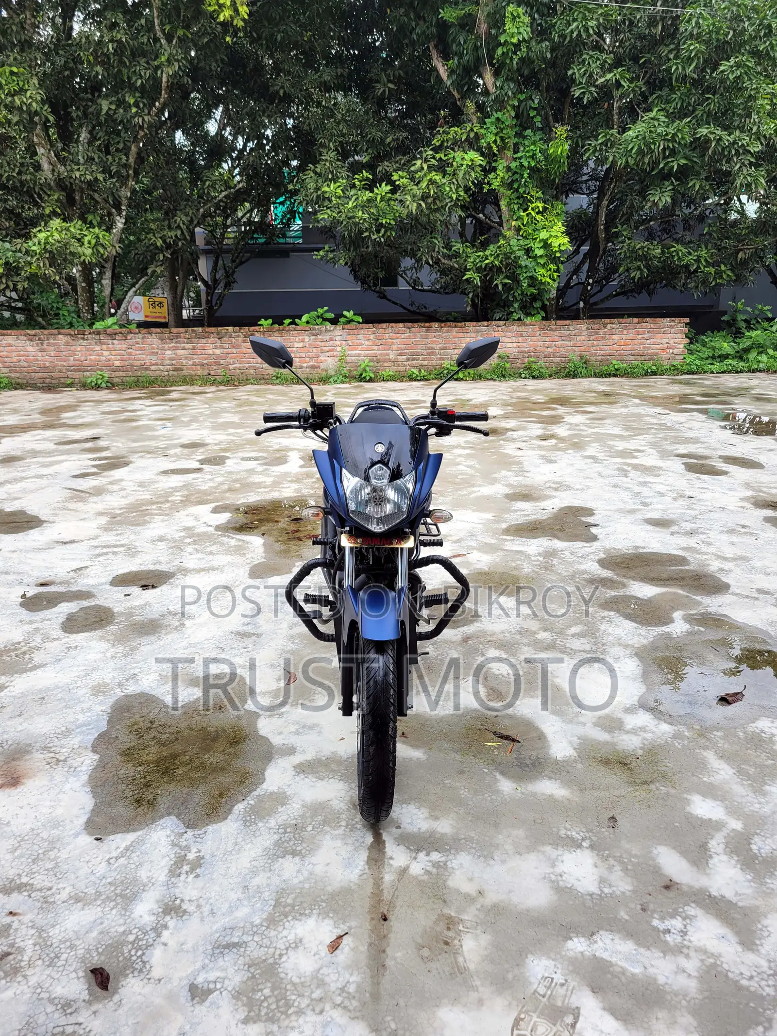 Yamaha Saluto 125 2022 Blue