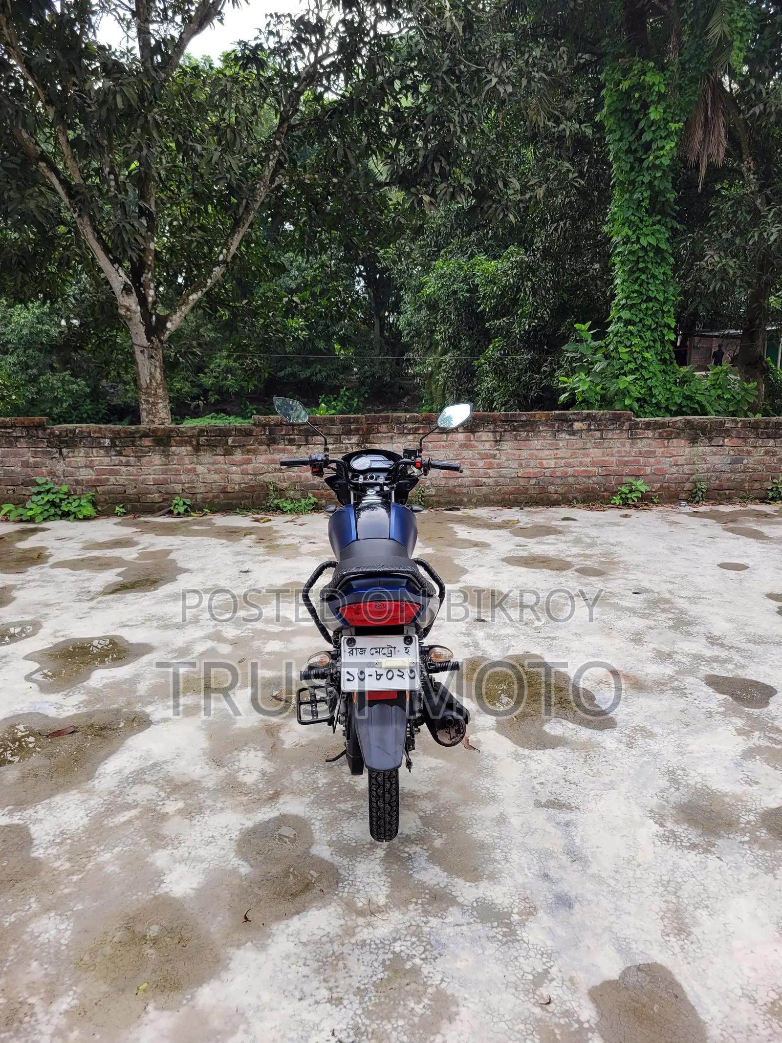 Yamaha Saluto 125 2022 Blue