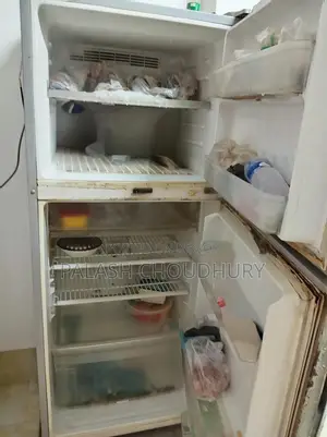 Sharp Fridge