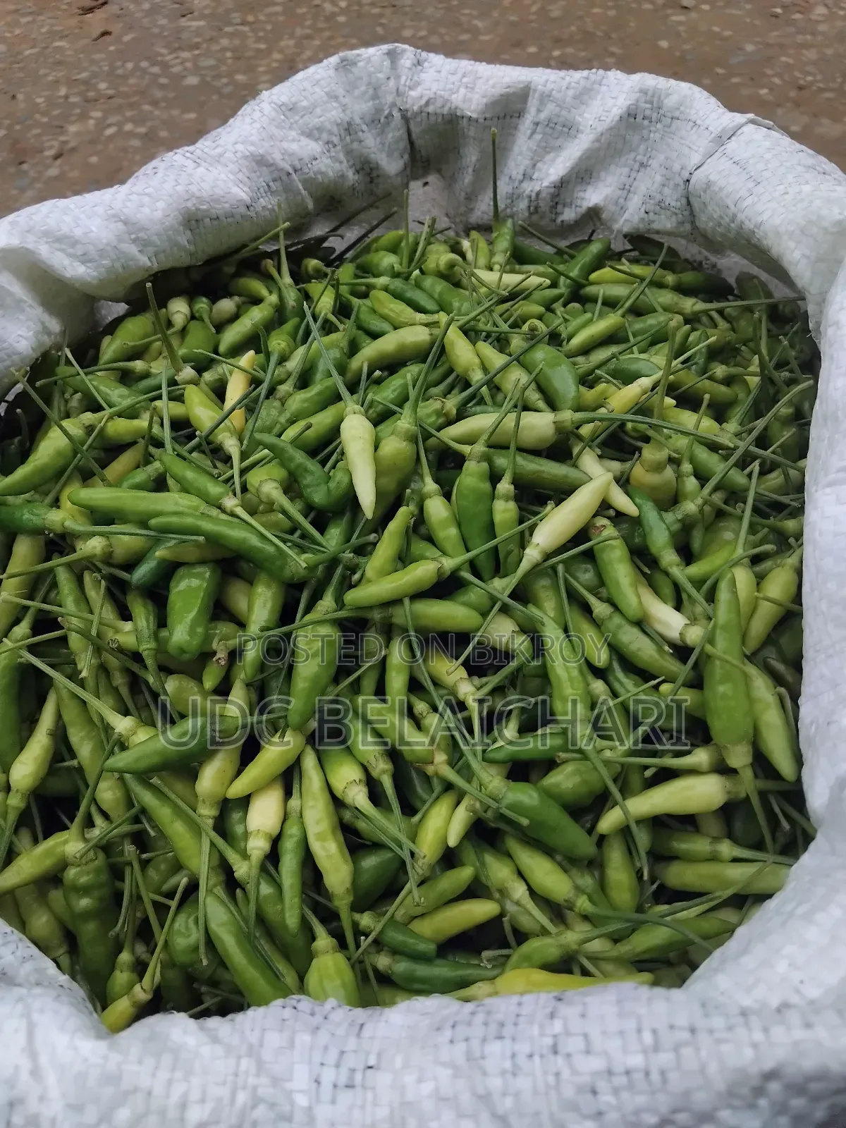 পাহাড়ি জুমে চাষকৃত ও কীটনাশকমূক্ত মরিচ।