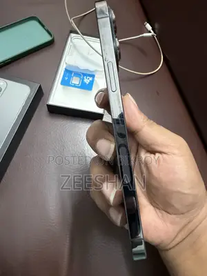 অ্যাপল আইফোন ১৩ প্রো ম্যাক্স ১২৮ জিবি গ্রে
