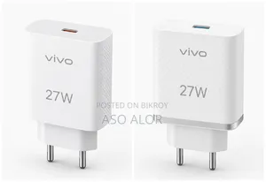 1 Vivo 27W Charger Adapter