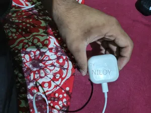অ্যাপল অরিজিনাল ৩-পিন অ্যাডাপ্টার
