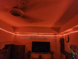 RGB LED Strip Light Controller + Remote (220V) For Sale