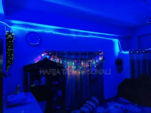 RGB LED Strip Light Controller + Remote (220V) For Sale