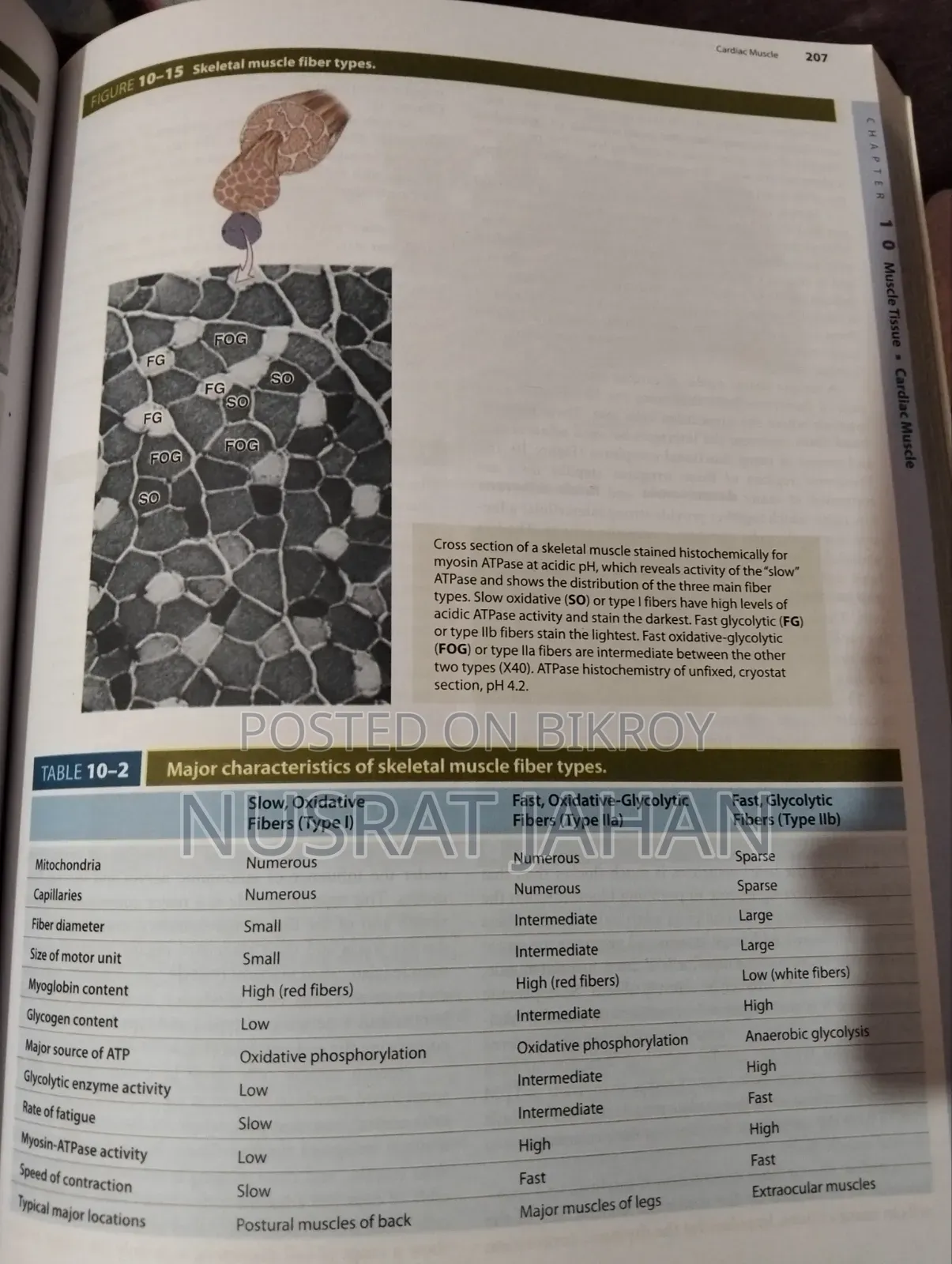 Junqueiras Basic Histolgy Text Atlas