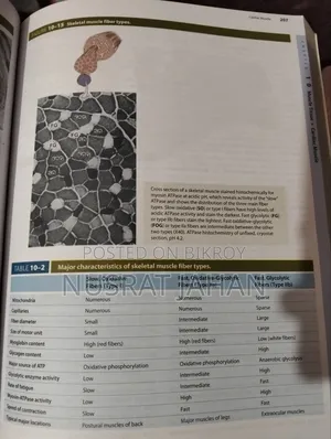 Junqueiras Basic Histolgy Text Atlas