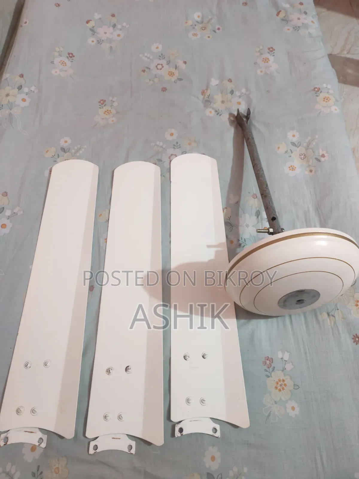 Fan (RFL Click)