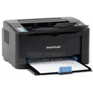 Printer Pantum P2500w