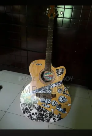 গিটারটির শুধু দুইটা স্ট্রিম নেই