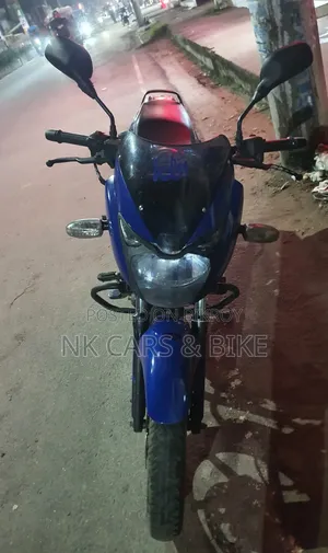 Bajaj Pulsar 150 2013 Blue