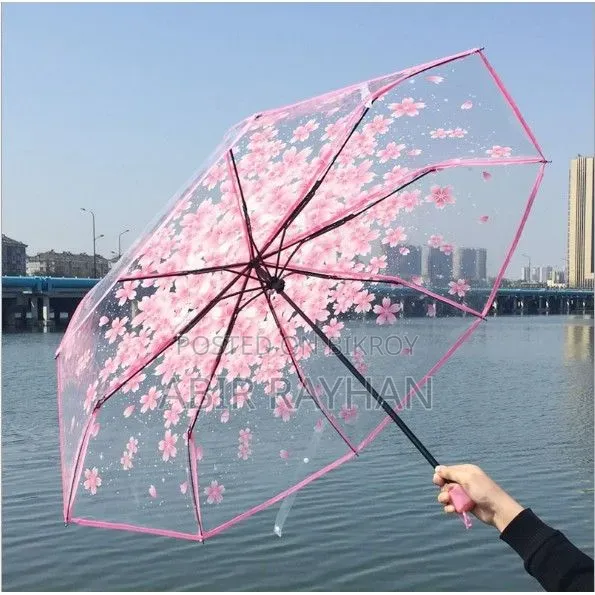 Transparent Umbrella