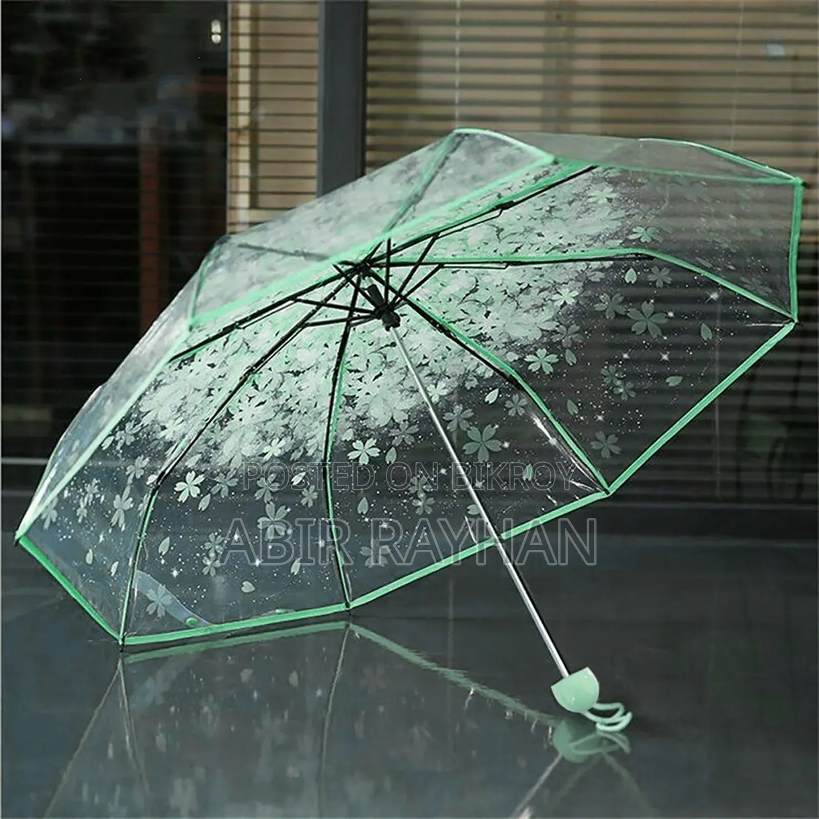Transparent Umbrella