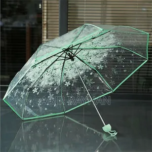 Transparent Umbrella