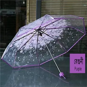 Transparent Umbrella