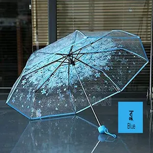 Transparent Umbrella