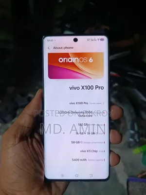 Vivo X100 Pro 512 GB Black