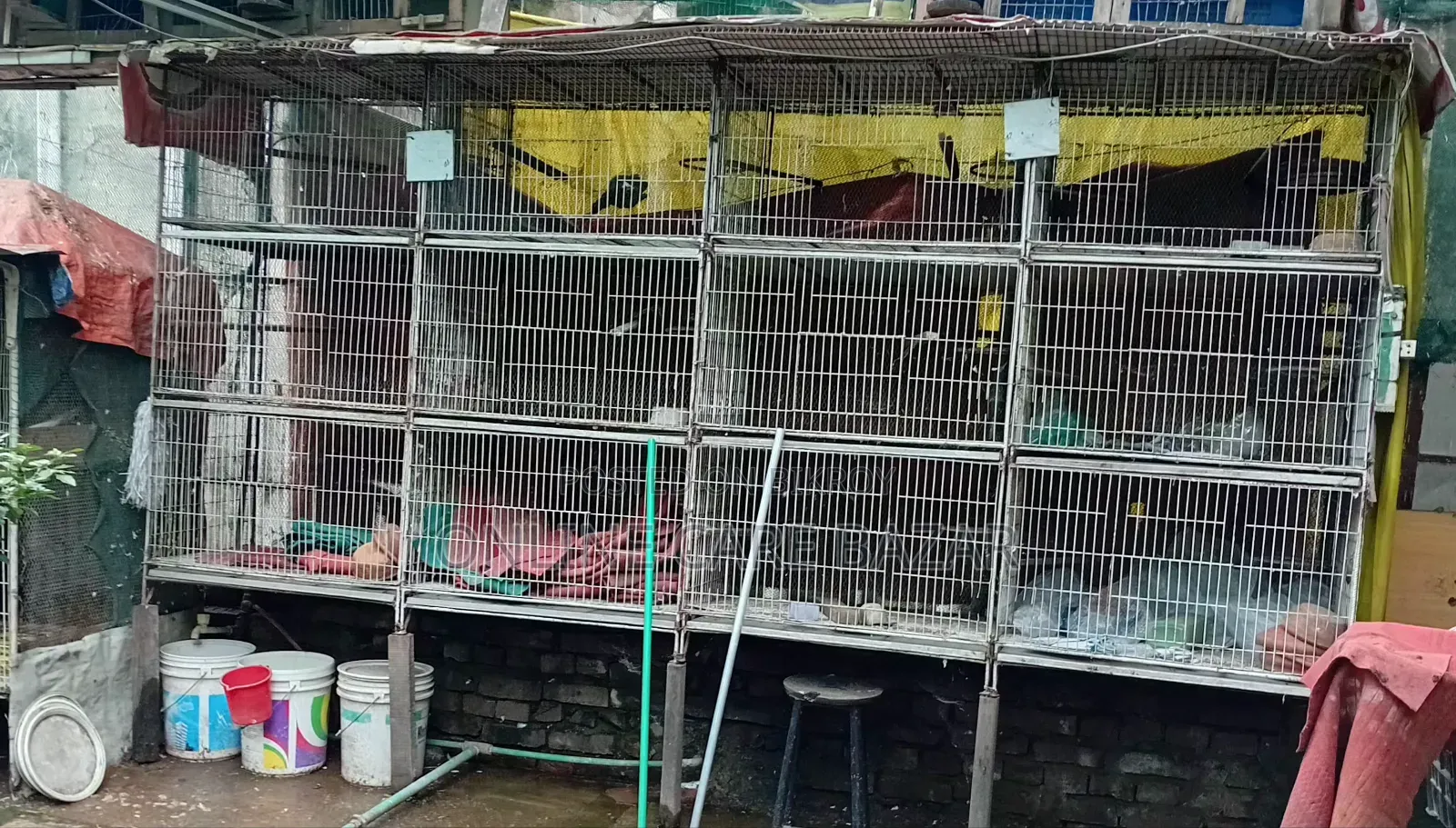 Pigeon / Bird Cage