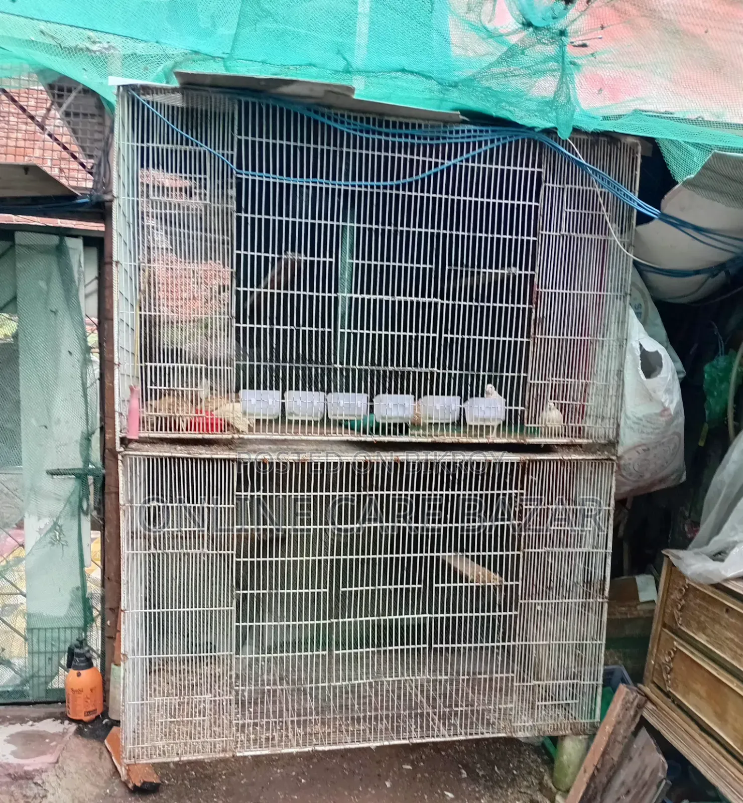 Dhapry for Sale