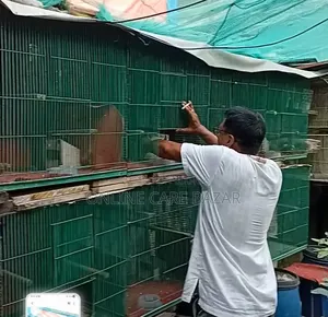 ছোট পাখির খাঁচা