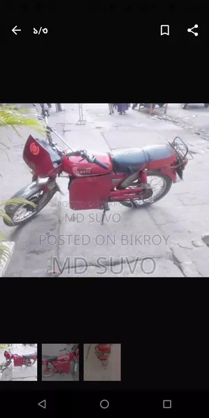 Green Tiger I Auto 1 2018 Pink